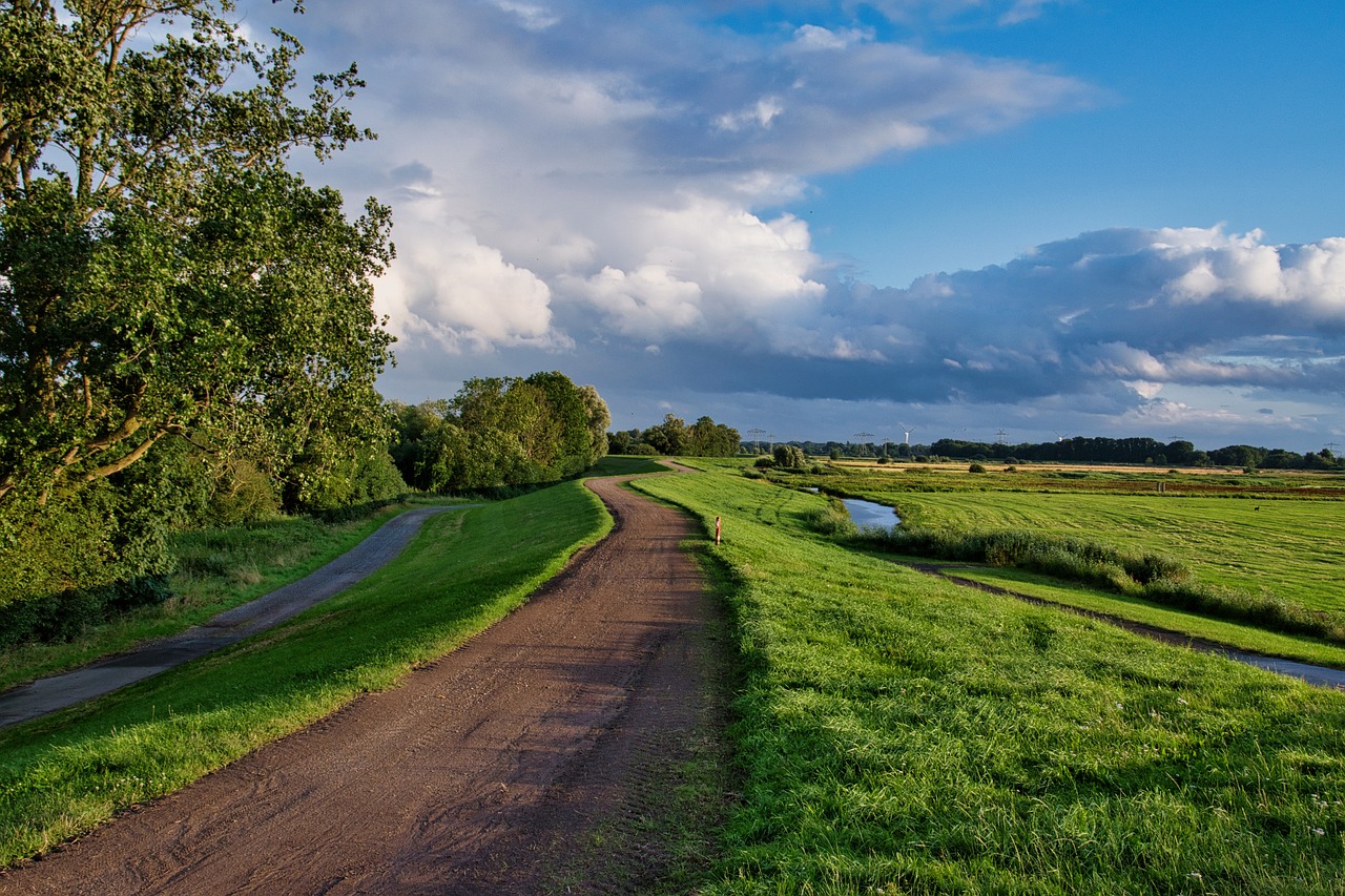 therapeutic image of country road